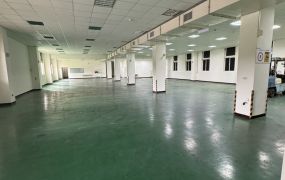 近桃園高鐵臺31線可廠登氣派碼頭廠房