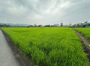 新關路角地方正美田