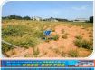 觀音66旁漂亮交通用地
