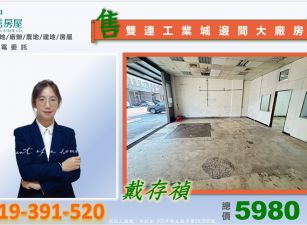 雙連工業城邊間大廠房