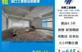 湖口工業區全新廠辦