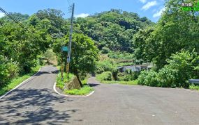 新竹縣北埔大湖鄉村鄰路小橘園191坪售價288萬