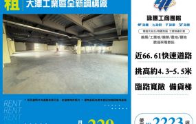 觀音大潭工業區全新鋼構廠房