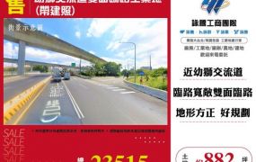 幼獅交流道雙面臨路工業地(帶建照)146
