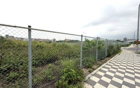 正體育園區~~雙面臨路建地