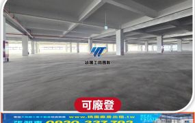 66快速全新氣派RC廠房A
