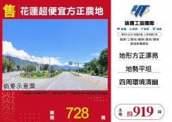 花蓮超便宜方正農地