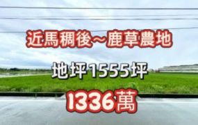 鹿草近馬稠後美濃地
