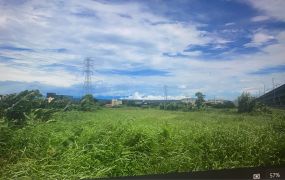 楊梅果園農場農地
