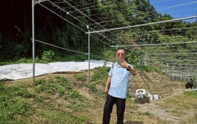 豐原上南坑段有自來水有電農地台中買屋賣房土地王劉志忠