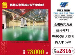楊梅全新挑高9米天車廠房