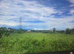 楊梅果園農場農地