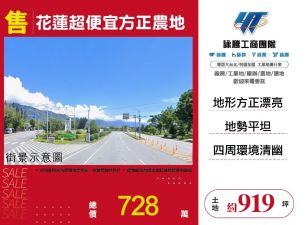 花蓮超便宜方正農地