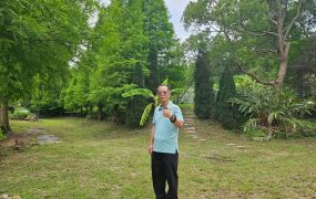 苗栗通霄【大樹森活】社區有管理渡假景觀地台中買屋賣房 土地王劉志忠