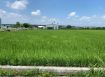 永慶許書豪★冬山補城近高速公路老農夫的地