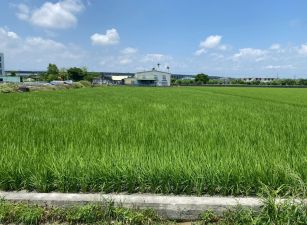 永慶許書豪★冬山補城近高速公路老農夫的地