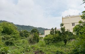 豐原農會旁都內果園附農舍