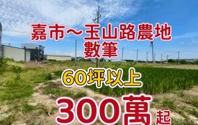 嘉市玉山路~都計內小農地~數筆