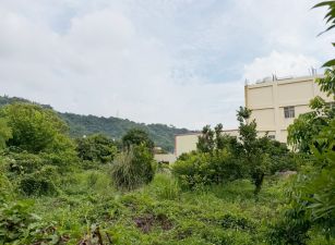 豐原農會旁都內果園附農舍