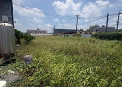 【大社農地 有99碼大電】