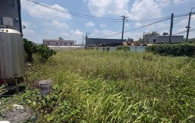 【大社農地 有99碼大電】