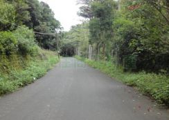 關西小農地