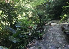 馬武督清溪山林