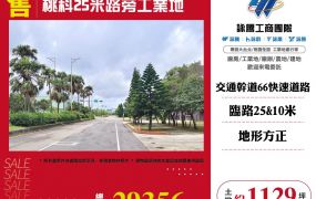 桃科25米路旁工業地