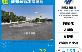 龍潭全新挑高廠房127
