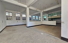 大園工業區可納管排污廠登廠房