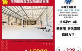 青埔挑高腹地全新鋼構倉庫183