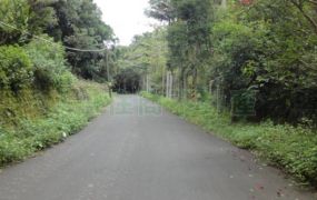 關西小農地