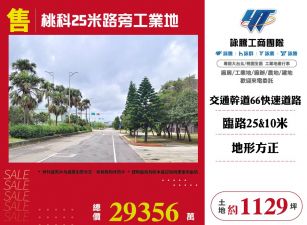 桃科25米路旁工業地