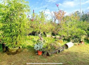 (小雅之家)竹山正20米路絕美優質休閒養生度假景觀農場(大降600萬)