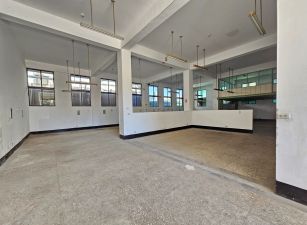 大園工業區可納管排污廠登廠房