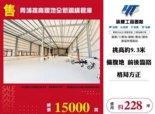 青埔挑高腹地全新鋼構倉庫183