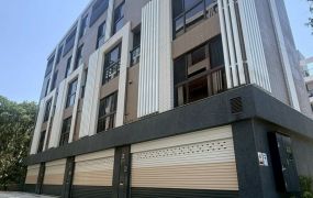 大園全新松禾苑日式別墅