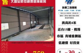 大園全新低總價倉庫廠房148
