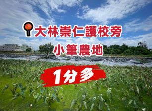 大林崇仁護校旁1分多農地