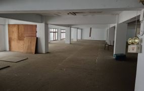 新北廠房廠辦 土城企業總部