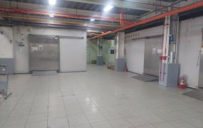 新北廠房廠辦 新莊透天廠房
