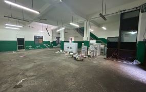 新北廠房廠辦 泰山透天廠房