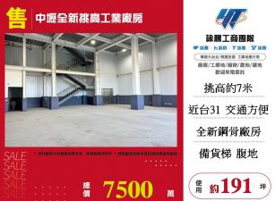 中壢全新挑高工業廠房