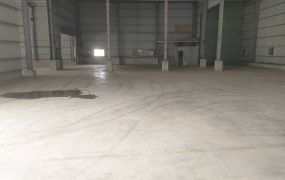 新北廠房廠辦 大園61倉庫廠房