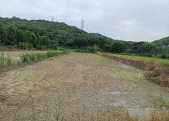 新北廠房廠辦 龜山都內農地