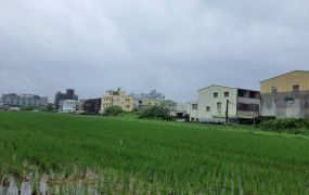 湖內大坪數重劃幸福建地