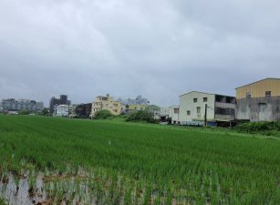 湖內大坪數重劃幸福建地