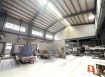 鶯歌796坪挑高鋼構廠房｜乙工可廠登｜雙面臨路｜有瓦斯