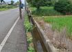 觀音正金橋路農地