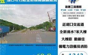湖口可分租全新挑高鋼構廠A+B
